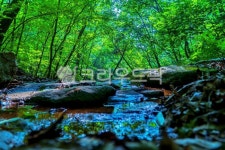 감악산, 계곡, 산, mountain, valley, 사진,이미지,일러스트,캘리그라피 - 드래곤볼작가 크라우드픽 - 저작권 걱정 없는 상업용 이미지