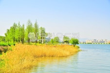 호수, 호수공원, 수변공원, 물, 공원, 사진,이미지,일러스트,캘리그라피 - photoyoon작가 크라우드픽 - 저작권 걱정 없는 상업용 이미지