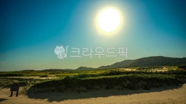 햇빛, 자연, 옥외, 하늘, 빛, 사진,이미지,일러스트,캘리그라피 - peace(평화)작가 크라우드픽 - 저작권 걱정 없는 상업용 이미지