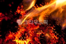 장작, 장작불, 모닥불, 캠핑, 불멍, 사진,이미지,일러스트,캘리그라피 - 플라이EX작가 크라우드픽 - 저작권 걱정 없는 상업용 이미지