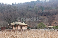 초가집, 집, 전통집, 옛날집, 풍경, 사진,이미지,일러스트,캘리그라피 - 함께사는세상작가 크라우드픽 - 저작권 걱정 없는 상업용 이미지