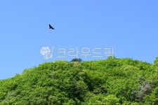 자연, 하늘, 새, 곰배령, 강원도, 사진,이미지,일러스트,캘리그라피 - Nsoz0705작가 크라우드픽 - 저작권 걱정 없는 상업용 이미지