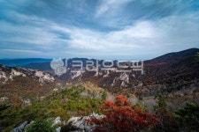 nature, 자연, 나무, outdoors, 설악산, 사진,이미지,일러스트,캘리그라피 - mangwon작가 크라우드픽 - 저작권 걱정 없는 상업용 이미지