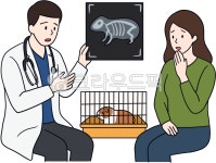 케이지씨라이프앤진대구검사 | 기니피그, 소동물, 케이지, 검사결과, 보호자, 사진,이미지,일러스트,캘리그라피 - PunchCat작가 크라우드픽 - 저작권 걱정 없는 상업용 이미지