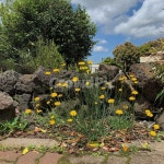 민들레, 노란색, 꽃, 자연, 돌담, 사진,이미지,일러스트,캘리그라피 - rammy작가 크라우드픽 - 저작권 걱정 없는 상업용 이미지