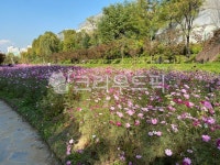 field, 필드, grassland, nature, 자연, 사진,이미지,일러스트,캘리그라피 - h6221작가 크라우드픽 - 저작권 걱정 없는 상업용 이미지