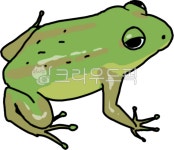 개구리, 청개구리, 경칩, 양서류, 동물, 사진,이미지,일러스트,캘리그라피 - 월붓작가 크라우드픽 - 저작권 걱정 없는 상업용 이미지