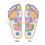 발바닥, 발, 건강, 반사구, 대응점, 사진,이미지,일러스트,캘리그라피 - Nchuccida작가 크라우드픽 - 저작권 걱정 없는 상업용 이미지