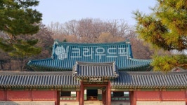 창덕궁, 선정전, 청기와, architecture, 건축학, 사진,이미지,일러스트,캘리그라피 - 니나노뭉작가 크라우드픽 - 저작권 걱정 없는 상업용 이미지