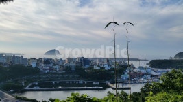 제주풍경, 칠십리공원, 제주칠십리공원, 바닷가마을, 서귀포관광명소, 사진,이미지,일러스트,캘리그라피 - 토파작가 크라우드픽 - 저작권 걱정... 