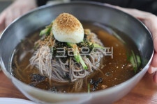 막국수, 강원도, 물냉면, 물막국수, 누들, 사진,이미지,일러스트,캘리그라피 - ddangu2작가 크라우드픽 - 저작권 걱정 없는 상업용 이미지