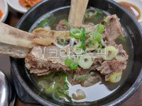 갈비, 고기, 왕갈비, 왕갈비탕, 파, 사진,이미지,일러스트,캘리그라피 - 에이스작가 크라우드픽 - 저작권 걱정 없는 상업용 이미지