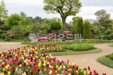정원, garden, 옥외, outdoors, 공원, 사진,이미지,일러스트,캘리그라피 - 서은작가 크라우드픽 - 저작권 걱정 없는 상업용 이미지