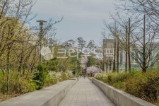 고대, 고려대, 고려대학교, 서울, 안암동, 사진,이미지,일러스트,캘리그라피 - imlover작가 크라우드픽 - 저작권 걱정 없는 상업용 이미지