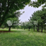 nature, 자연, outdoors, park, tree, 사진,이미지,일러스트,캘리그라피 - 징글징글작가 크라우드픽 - 저작권 걱정 없는 상업용 이미지