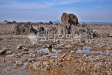 방아머리해안, 대부도, 안산시, 바다, 해솔1길, 사진,이미지,일러스트,캘리그라피 - Deep bLUE작가 크라우드픽 - 저작권 걱정 없는 상업용 이미지