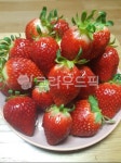 strawberry, 딸기, fruit, 과일, food, 사진,이미지,일러스트,캘리그라피 - 들바람작가 크라우드픽 - 저작권 걱정 없는 상업용 이미지