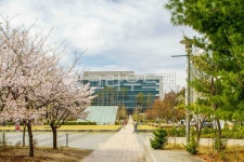 고대, 고려대, 고려대학교, 서울, 안암동, 사진,이미지,일러스트,캘리그라피 - imlover작가 크라우드픽 - 저작권 걱정 없는 상업용 이미지