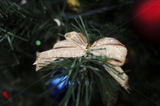 leaf, 잎, plant, 식물, tree, 사진,이미지,일러스트,캘리그라피 - Yeoreum작가 크라우드픽 - 저작권 걱정 없는 상업용 이미지