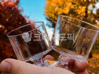glass, 유리, persimmonfarm, 감농장, 감나무, 사진,이미지,일러스트,캘리그라피 - 그초록이작가 크라우드픽 - 저작권 걱정 없는 상업용 이미지