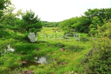 흐린내생태공원, 흐린내, 생태, 공원, 습지, 사진,이미지,일러스트,캘리그라피 - ju999작가 크라우드픽 - 저작권 걱정 없는 상업용 이미지