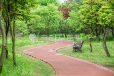 풍경, 식물, 산책로, 산책길, 공원, 사진,이미지,일러스트,캘리그라피 - 포타도작가 크라우드픽 - 저작권 걱정 없는 상업용 이미지