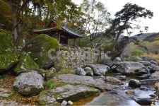 stream, 흐름, nature, 자연, outdoors, 사진,이미지,일러스트,캘리그라피 - 영산공작가 크라우드픽 - 저작권 걱정 없는 상업용 이미지