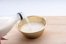 음료, beverage, 술, 막걸리, 전통주, 사진,이미지,일러스트,캘리그라피 - hanuriblue작가 크라우드픽 - 저작권 걱정 없는 상업용 이미지