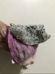 베어문과일&빙수성대점 | 이색과일, 용과, 용과먹은, 베어문과일, 과일, 사진,이미지,일러스트,캘리그라피 - 달고나작가 크라우드픽 - 저작권 걱정 없는 상업용 이미지