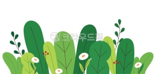 풀숲, 풀, 풀밭, 우거진, 식물, 사진,이미지,일러스트,캘리그라피 - woocat작가 크라우드픽 - 저작권 걱정 없는 상업용 이미지