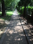 path, 길, walkway, sidewalk, 보도, 사진,이미지,일러스트,캘리그라피 - c_g8318작가 크라우드픽 - 저작권 걱정 없는 상업용 이미지