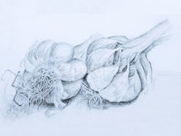 마늘, 스케치, art, 미술, drawing, 사진,이미지,일러스트,캘리그라피 - 클릭디자인작가 크라우드픽 - 저작권 걱정 없는 상업용 이미지
