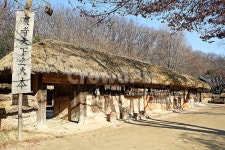 한국민속촌, 민속촌, 집, 전통집, 초가집, 사진,이미지,일러스트,캘리그라피 - 함께사는세상작가 크라우드픽 - 저작권 걱정 없는 상업용 이미지