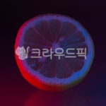 레몬, lemon, food, fruit, 과일, 사진,이미지,일러스트,캘리그라피 - nam51작가 크라우드픽 - 저작권 걱정 없는 상업용 이미지