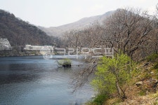 대청호오백리길, 대청댐벚꽃길, 도보길, 트레킹, 둘레길, 사진,이미지,일러스트,캘리그라피 - Deep bLUE작가 크라우드픽 - 저작권 걱정 없는... 