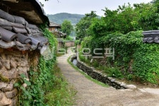 outdoors, 옥외, plant, 식물, 담양창평슬로시티삼지내마을, 사진,이미지,일러스트,캘리그라피 - 영산공작가 크라우드픽 - 저작권 걱정 없는... 