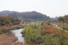 전주, 전주한옥마을, 봄, 전통한옥, 대한민국, 사진,이미지,일러스트,캘리그라피 - 아딘작가 크라우드픽 - 저작권 걱정 없는 상업용 이미지