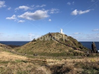 제주, 제주도, 바람의언덕, 섭지코지, 푸룬하늘, 사진,이미지,일러스트,캘리그라피 - 오늘의스냅작가 크라우드픽 - 저작권 걱정 없는 상업용 이미지