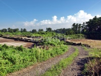 농로, 길, 올레, 올레20코스, 제주, 사진,이미지,일러스트,캘리그라피 - Deep bLUE작가 크라우드픽 - 저작권 걱정 없는 상업용 이미지