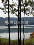 호수정경, 소나무, 호수가, 강풍경, 호수풍경, 사진,이미지,일러스트,캘리그라피 - cheunbu작가 크라우드픽 - 저작권 걱정 없는 상업용 이미지