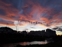 구름, 노을, 석양, 붉은노을, 오후, 사진,이미지,일러스트,캘리그라피 - PETERPARK80작가 크라우드픽 - 저작권 걱정 없는 상업용 이미지