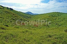 제주도, 용눈이오름, 분화구, 능선, 오름 사진, 이미지 - Nbixelcali작가 가장 한국적인 스톡 사진 - 크라우드픽