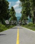 가로수, 가로수길, 아스팔트, road, 도로, 사진,이미지,일러스트,캘리그라피 - Yoonseonghan작가 크라우드픽 - 저작권 걱정 없는 상업용 이미지