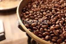 식물, 커피, 커피콩, plant, bean, 사진,이미지,일러스트,캘리그라피 - Njinzz22작가 크라우드픽 - 저작권 걱정 없는 상업용 이미지