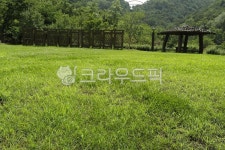 잔디, 공원, 광장, 울타리, 자연, 사진,이미지,일러스트,캘리그라피 - 조운작가 크라우드픽 - 저작권 걱정 없는 상업용 이미지