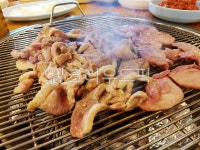 오리, 오리고기, 생오리, 훈제오리, 오리구이, 사진,이미지,일러스트,캘리그라피 - 박한세작가 크라우드픽 - 저작권 걱정 없는 상업용 이미지