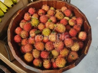 리치, 열대과일, lychee, 베트남과일, 과일, 사진,이미지,일러스트,캘리그라피 - Jinanim작가 크라우드픽 - 저작권 걱정 없는 상업용 이미지