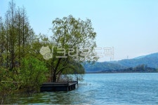 water, nature, outdoors, boat, tree, 사진,이미지,일러스트,캘리그라피 - magicpie31작가 크라우드픽 - 저작권 걱정 없는 상업용 이미지