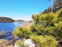 소나무, 호수, 강, 풍경, 자연, 사진,이미지,일러스트,캘리그라피 - 불감자작가 크라우드픽 - 저작권 걱정 없는 상업용 이미지