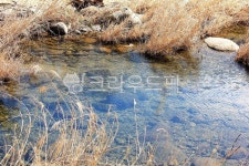 시냇물, 계곡, 맑은물, 계곡물, 돌, 사진,이미지,일러스트,캘리그라피 - 우린또작가 크라우드픽 - 저작권 걱정 없는 상업용 이미지